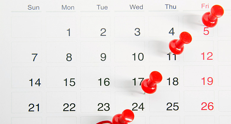 Calendar with Pins